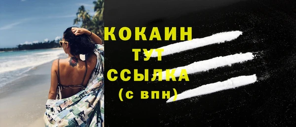 молекула духа Пересвет