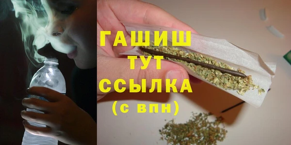 молекула духа Пересвет