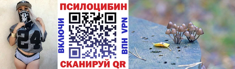 Псилоцибиновые грибы GOLDEN TEACHER  Темрюк 
