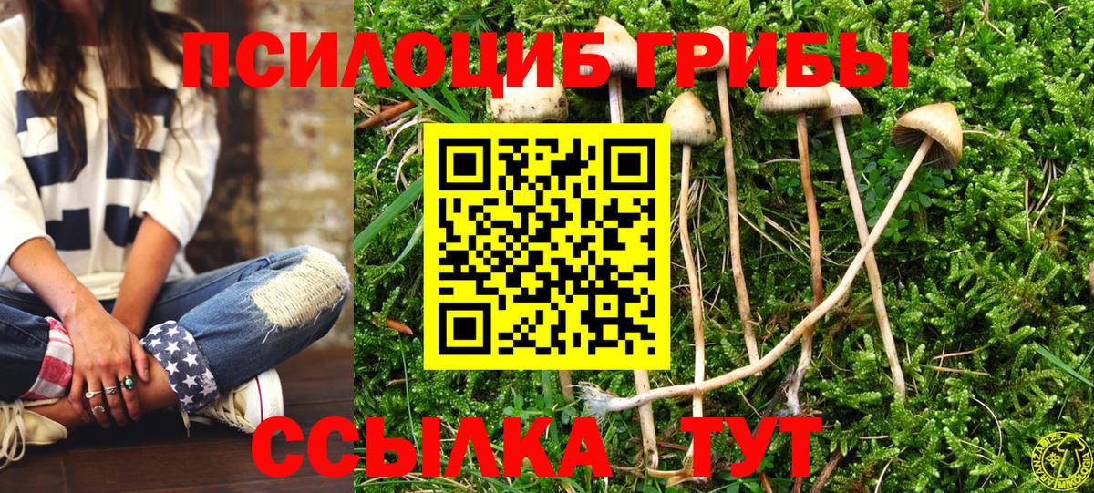 Галлюциногенные грибы ЛСД Темрюк